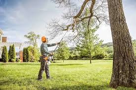 Lawn Watering Services in Weslaco, TX